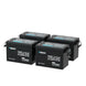 Renogy Mini 12V 200Ah LiFePO4 battery with low-temperature protection, 4 pack