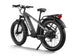 Himiway D5 fat tire e-bike, rear angle