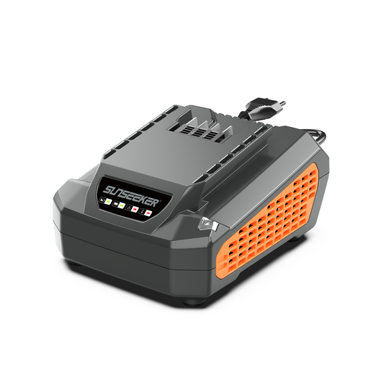 Sunseeker CGB6025U 60V 2.5A battery charger
