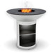 Arteflame 40" Stainless Steel Grill & Griddle with Storage Base