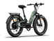 Himiway D5 2.0 Camo e-bike, rear angle
