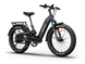 Himiway D5 2.0 ST e-bike, angled view