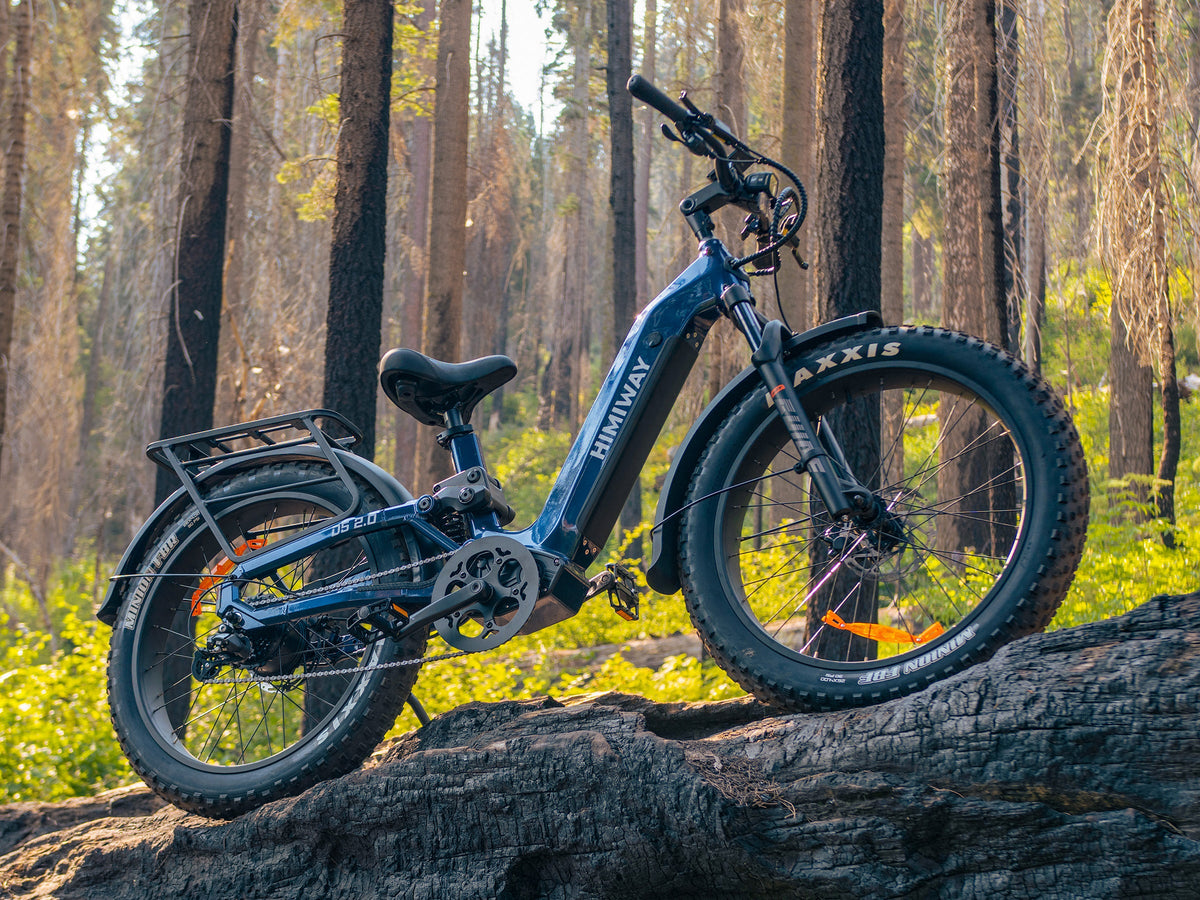 Himiway D5 2.0 ST e-bike in a forest