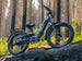 Himiway D5 2.0 ST e-bike in a forest