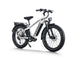 Himiway D5 Pro in White, rear angle