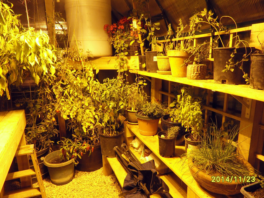 Grandio Elite 8x16 greenhouse kit – image 4