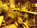 Grandio Elite 8x16 greenhouse kit – image 4