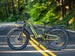 Himiway D5 2.0 in Olive Green on a forest road