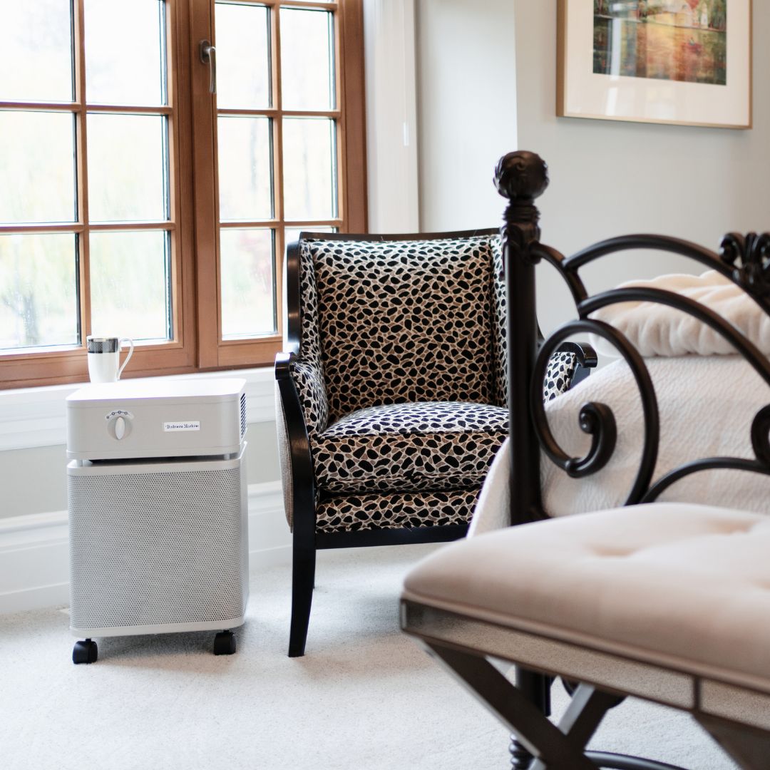 Austin Air Bedroom Machine in Sandstone in a living room