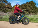 Rider on the Himiway D5 2.0 20 inch e-bike on a coastal trail