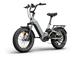 Himiway D5 2.0 20 inch e-bike, drive side