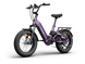 Himiway D5 2.0 20 inch e-bike, drive side