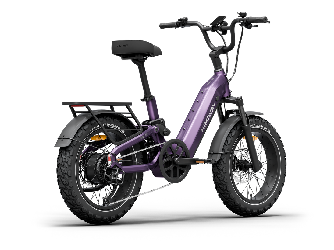Himiway D5 2.0 20 inch e-bike, rear angle