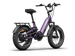 Himiway D5 2.0 20 inch e-bike, rear angle