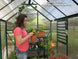 Grandio Element 6x8 greenhouse kit – image 3