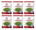 Legacy Food Storage 28 Serving Freeze-Dried Green Beans Pouch - 6 pack, six pouches shown together