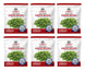 Legacy Food Storage 28 Serving Freeze-Dried Green Beans Pouch - 6 pack, six pouches shown together