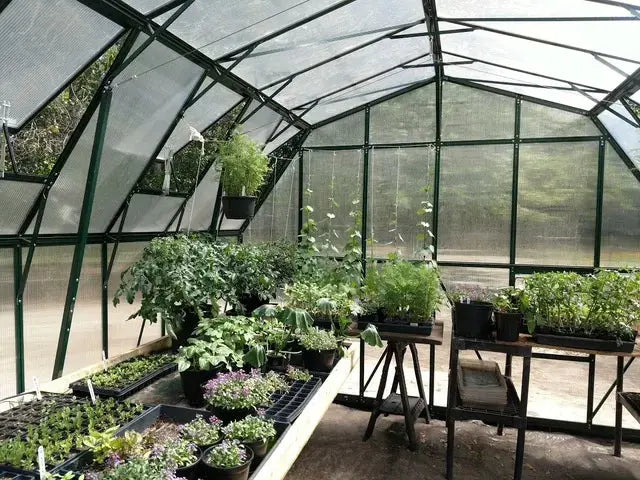 Grandio Summit 12x12 greenhouse kit – image 4