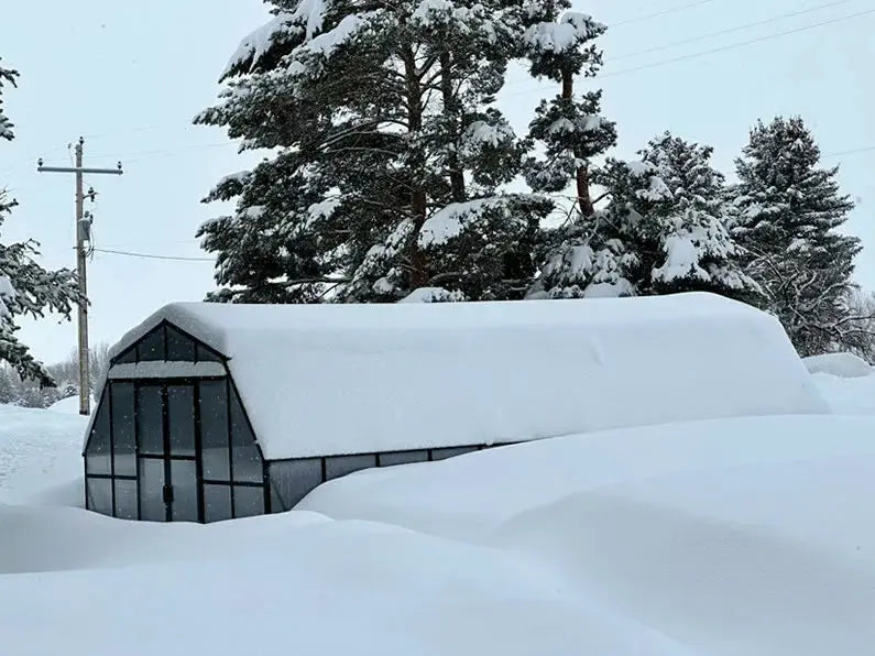 Grandio Summit 12x12 greenhouse kit – image 6